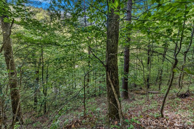 31 Caddis Court, Marshall, NC 28753