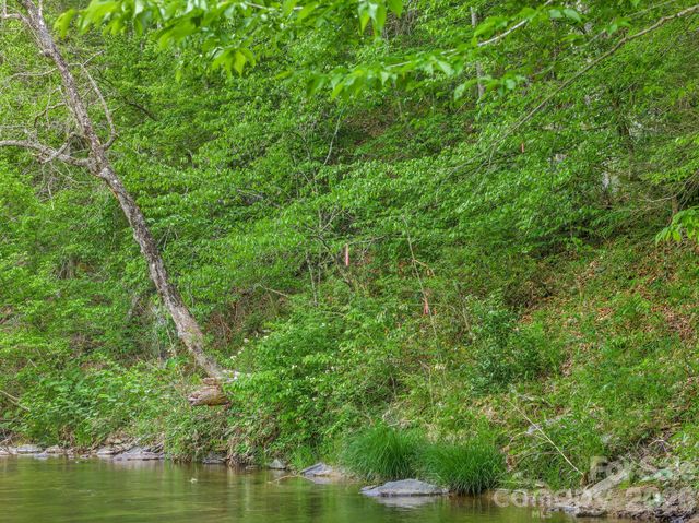 31 Caddis Court, Marshall, NC 28753
