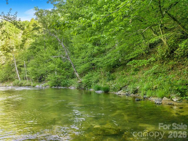 31 Caddis Court, Marshall, NC 28753