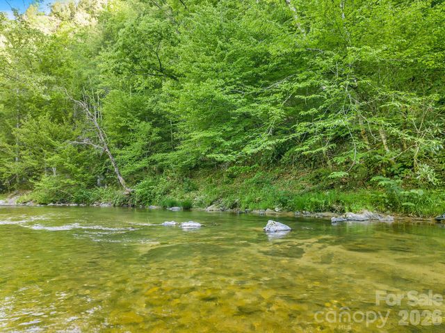 31 Caddis Court, Marshall, NC 28753