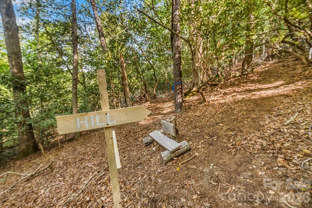31 Caddis Court, Marshall, NC 28753