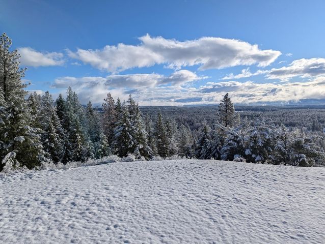 37404 N Hussle Rd, Deer Park, WA 99006