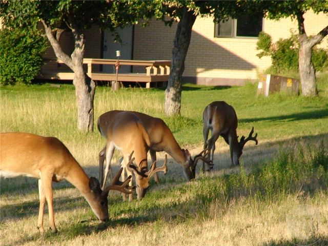 2003 Last Best PLACE, Other-see Remarks, MT 59875