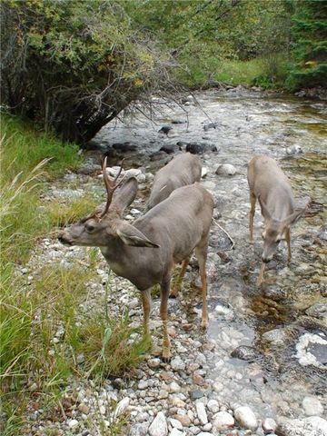 2003 Last Best PLACE, Other-see Remarks, MT 59875