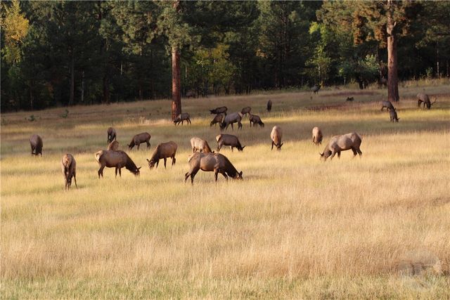 2003 Last Best PLACE, Other-see Remarks, MT 59875