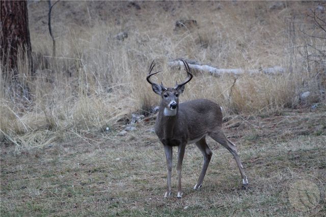 2003 Last Best PLACE, Other-see Remarks, MT 59875