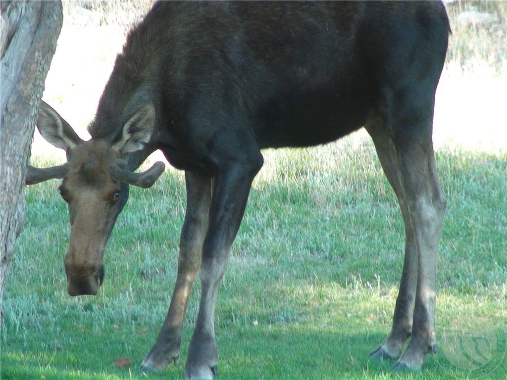 2003 Last Best PLACE, Other-See Remarks, MT 59875 photo 29