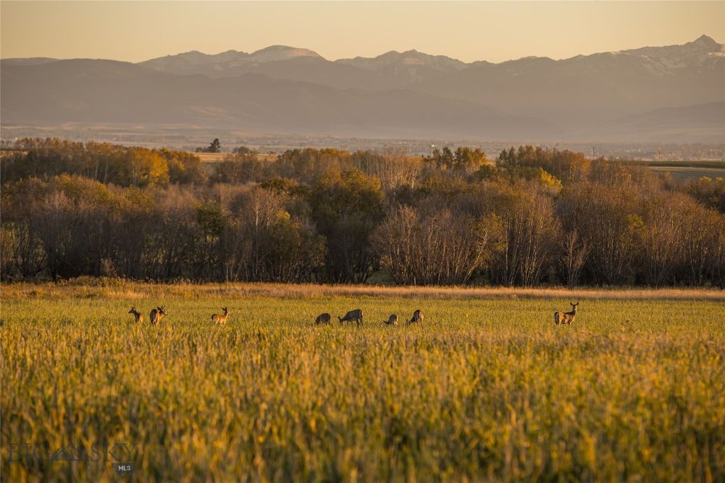 10669 Gee Norman Road, Belgrade, MT 59714 photo 35