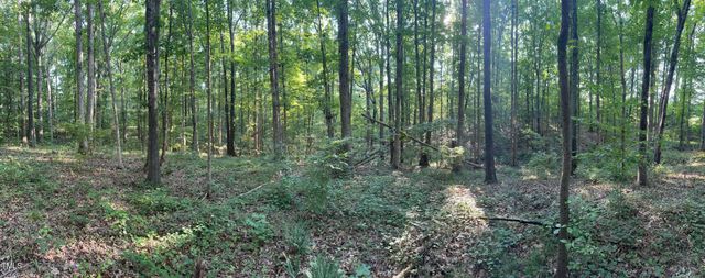 0 Tom Hicks Land, Henderson, NC 27537