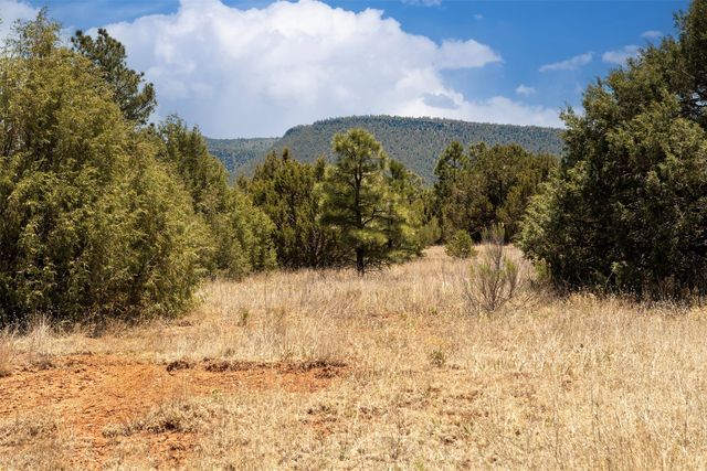113 Avenida Ponderosa, Glorieta, NM 87535