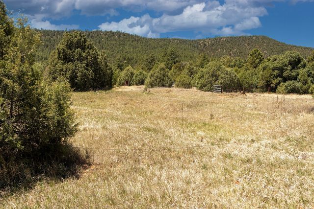 113 Avenida Ponderosa, Glorieta, NM 87535