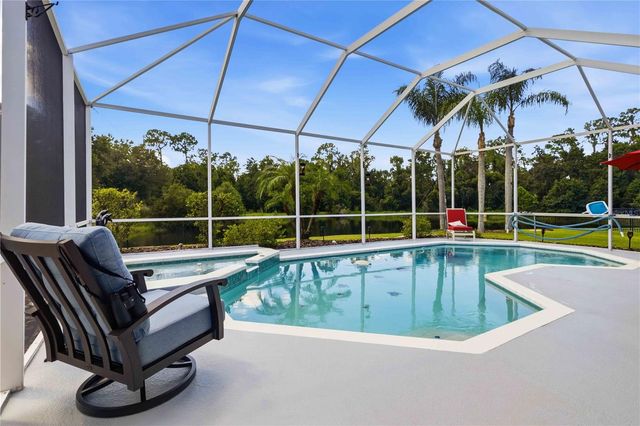 16817 HARRIERRIDGE PLACE, Lithia, FL 33547