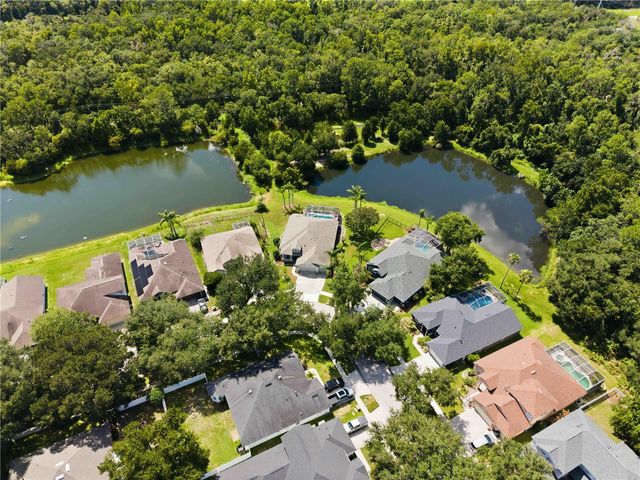 16817 HARRIERRIDGE PLACE, Lithia, FL 33547