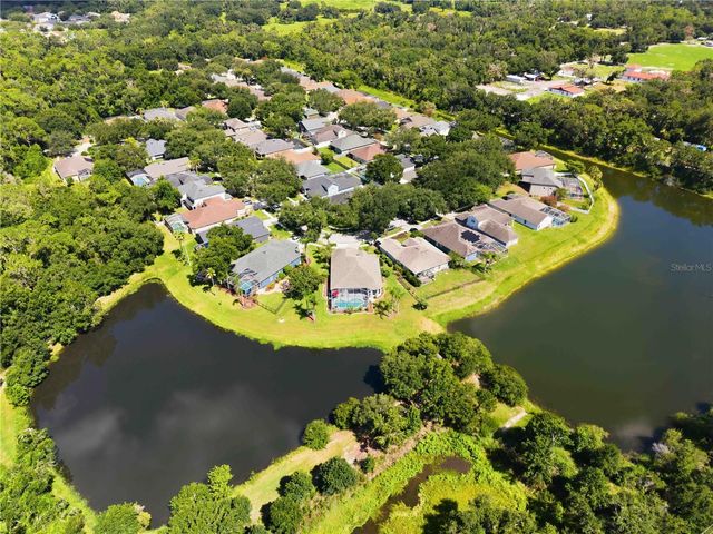 16817 HARRIERRIDGE PLACE, Lithia, FL 33547