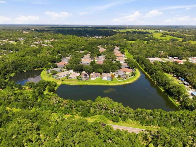 16817 HARRIERRIDGE PLACE, Lithia, FL 33547