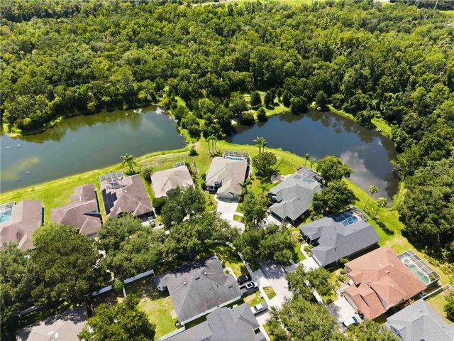 16817 HARRIERRIDGE PLACE, Lithia, FL 33547
