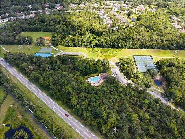 16817 HARRIERRIDGE PLACE, Lithia, FL 33547
