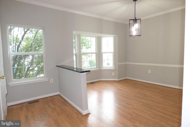 552 SPARKLEBERRY TER NE, Leesburg, VA 20176