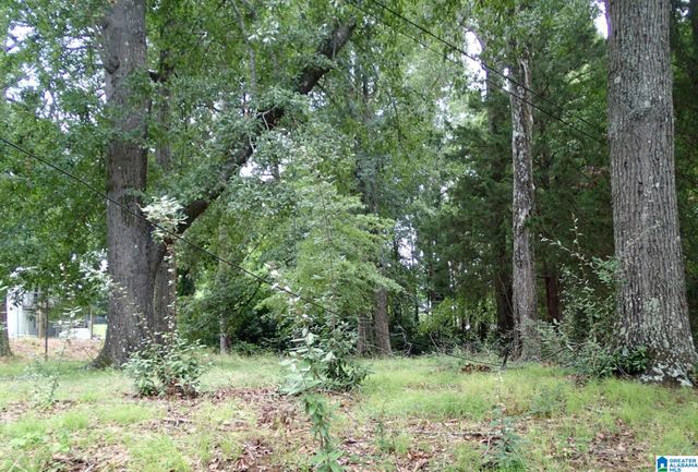 101 E 1ST STREET, Sylacauga, AL 35150