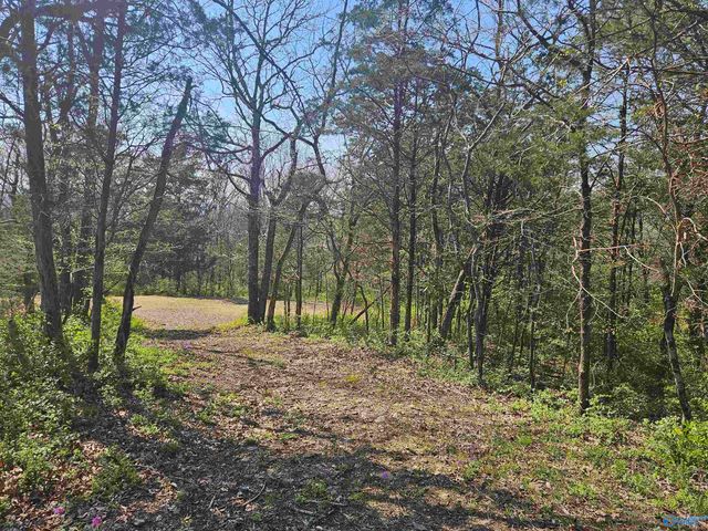 4025 High Mountain Road, Huntsville, AL 35811