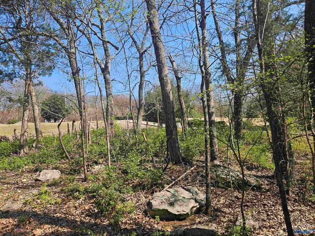 4025 High Mountain Road, Huntsville, AL 35811