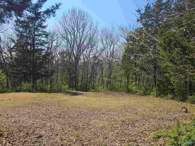 4025 High Mountain Road, Huntsville, AL 35811