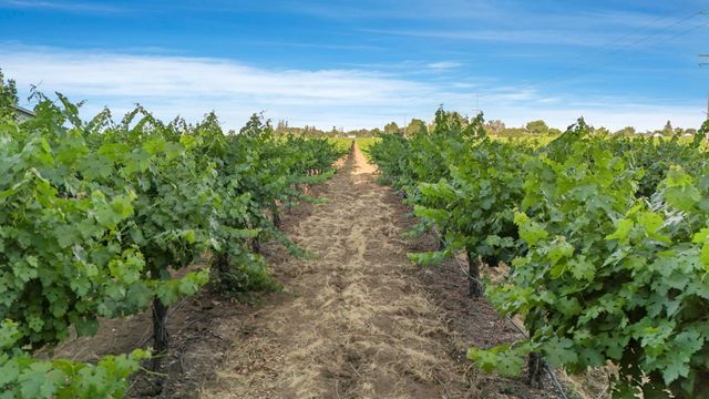 18050 N Tretheway Rd, Lockeford, CA 95237