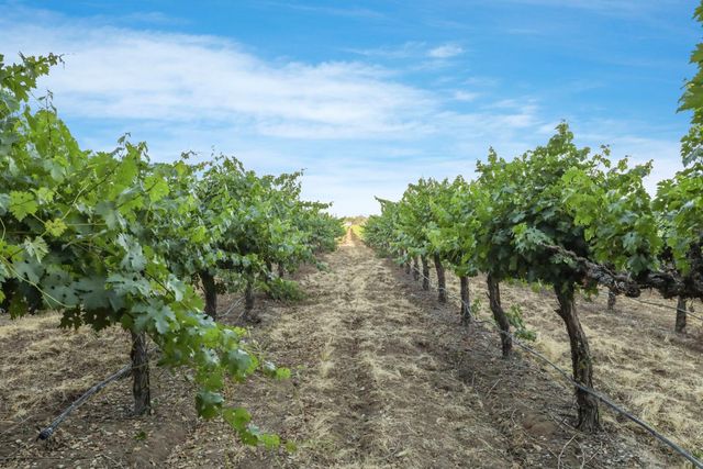 18050 N Tretheway Rd, Lockeford, CA 95237