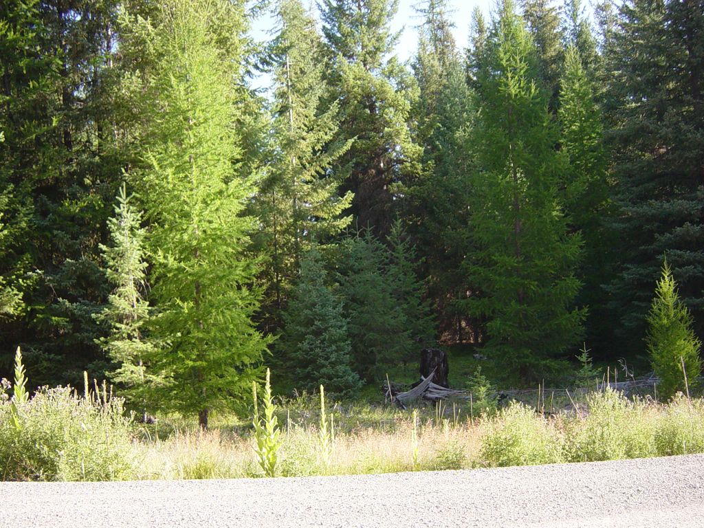 NHN Lot 11 Davis Creek Road, Libby, MT 59923 photo 1