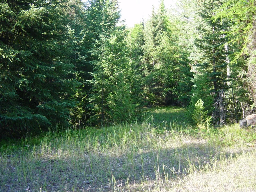 NHN Lot 11 Davis Creek Road, Libby, MT 59923 photo 2