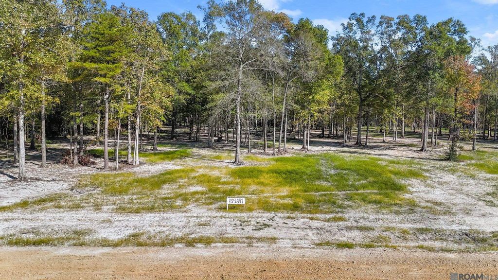 N-2-D-4 Little Azalea Drive, Zachary, LA 70791