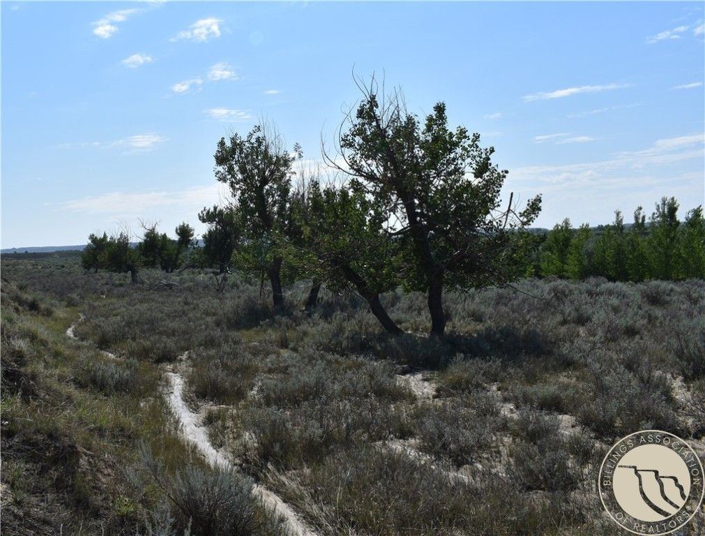 Rural Highway 253, Miles City, MT 59349 photo 4