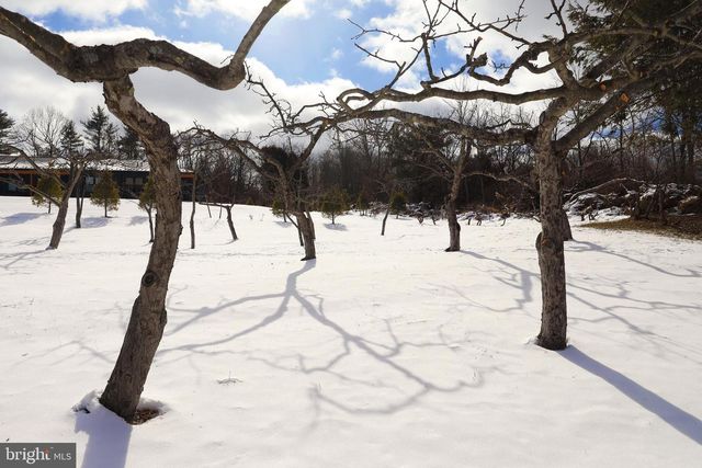 711 BLANCHARD ST, Bellefonte, PA 16823