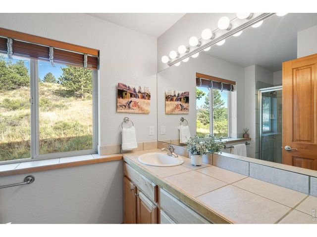 131 Hurricane Hill Dr, Nederland, CO 80466