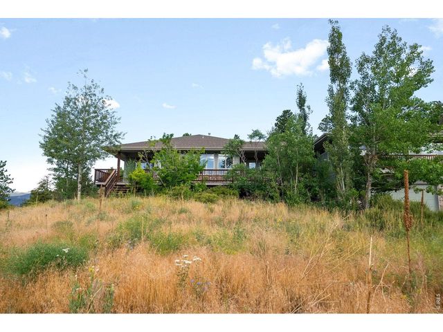 131 Hurricane Hill Dr, Nederland, CO 80466