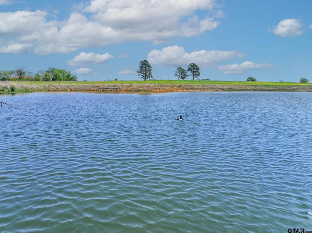 973 VZCR 1604, Grand Saline, TX 75140