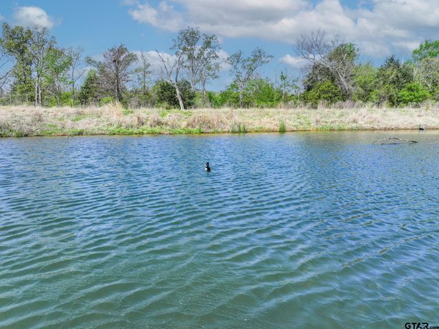 973 VZCR 1604, Grand Saline, TX 75140