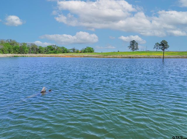 973 VZCR 1604, Grand Saline, TX 75140