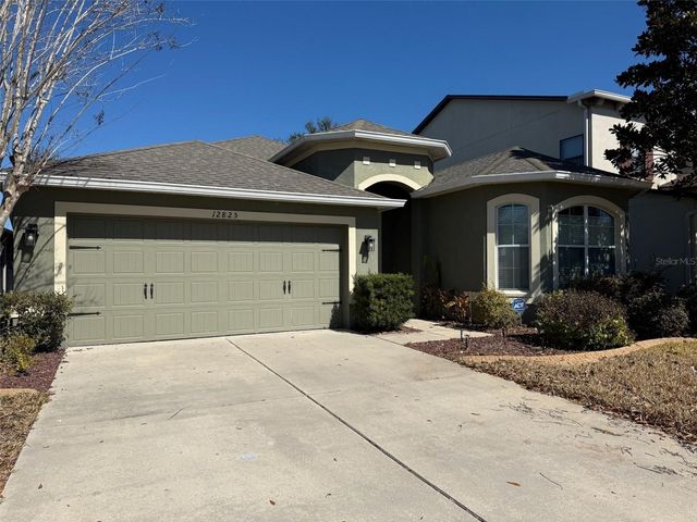 12825 TIKAL WAY, Trinity, FL 34655