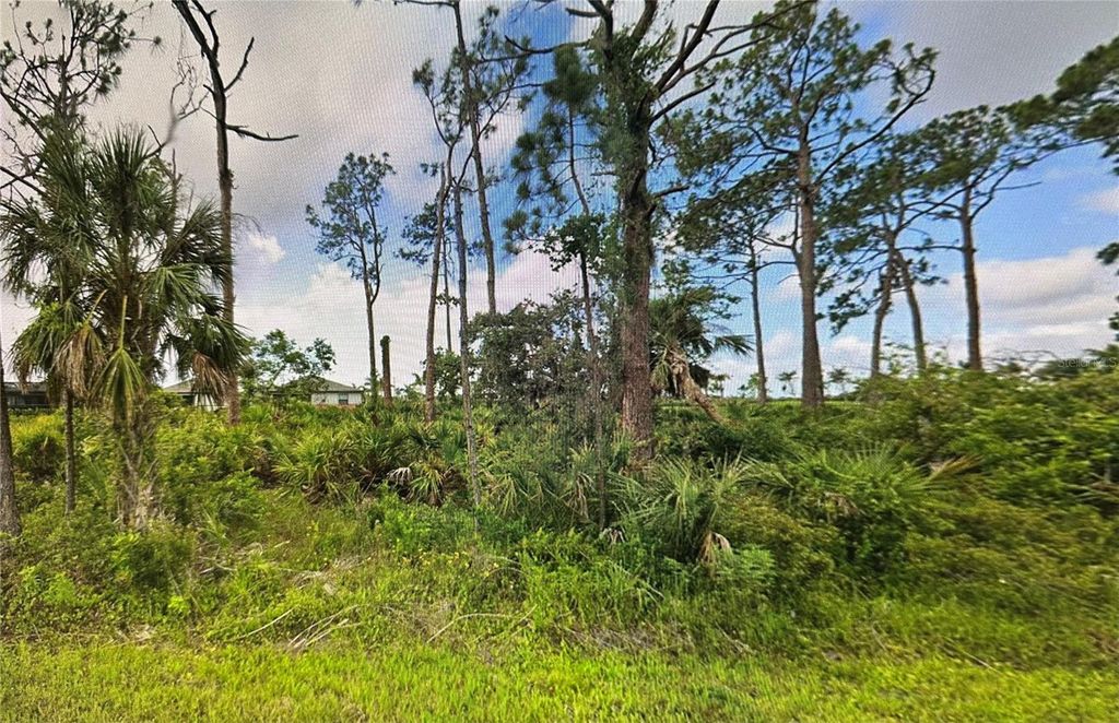 15461 WYANDOTTE AVENUE, Port Charlotte, FL 33953