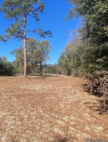 8629 Arnold Rd, Denham Springs, LA 70726