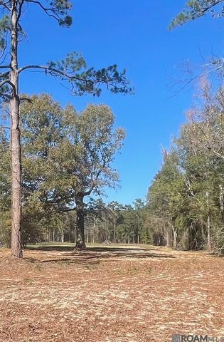 8629 Arnold Rd, Denham Springs, LA 70726