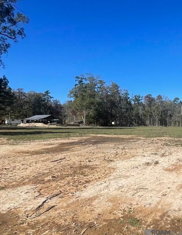 8629 Arnold Rd, Denham Springs, LA 70726