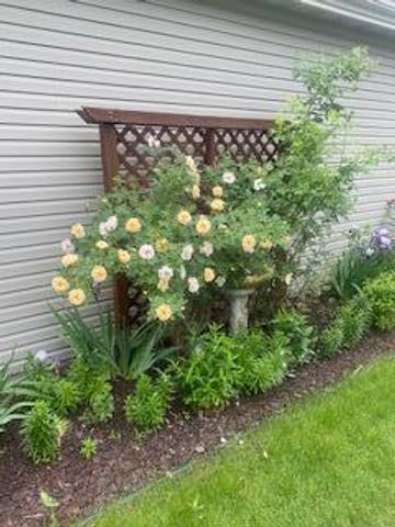 4826 57th Street NW, Rochester, MN 55901