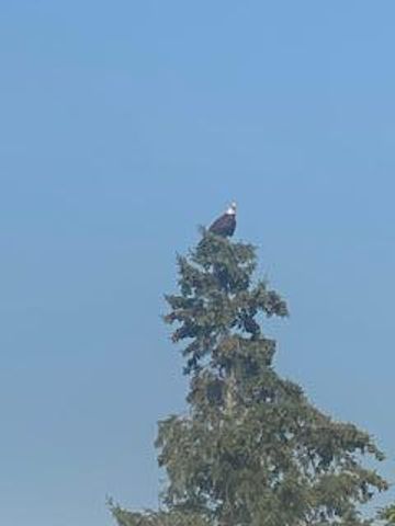 4826 57th Street NW, Rochester, MN 55901