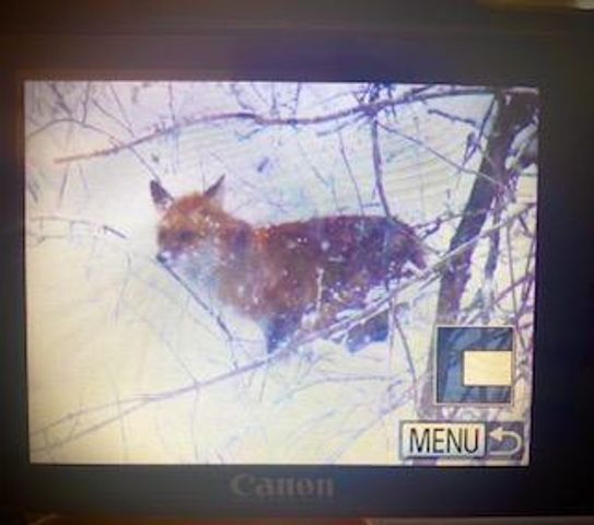 4826 57th Street NW, Rochester, MN 55901