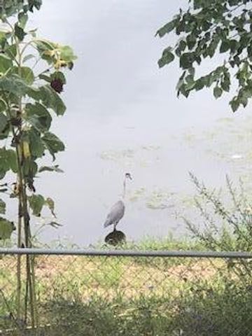 4826 57th Street NW, Rochester, MN 55901