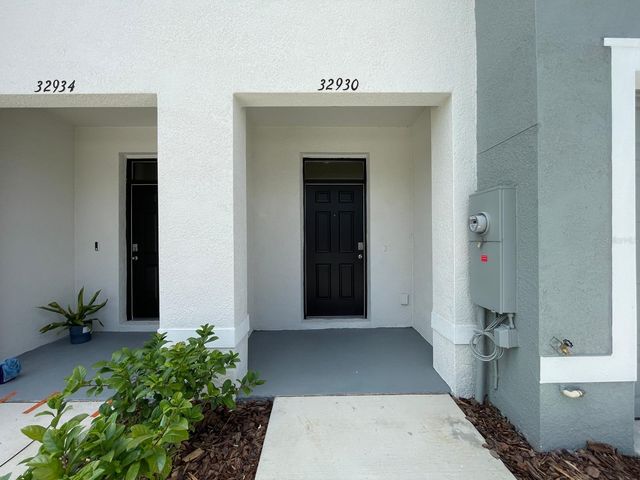 32930 REGENT CANAL STREET, Wesley Chapel, FL 33545