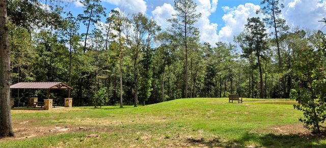 231 Iron Horse Road, Willis, TX 77378