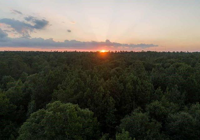 231 Iron Horse Road, Willis, TX 77378